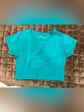 aerie Green Crop Top